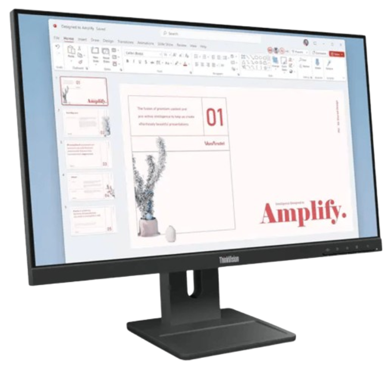 Lenovo ThinkVision E24-40 23.8" Monitor